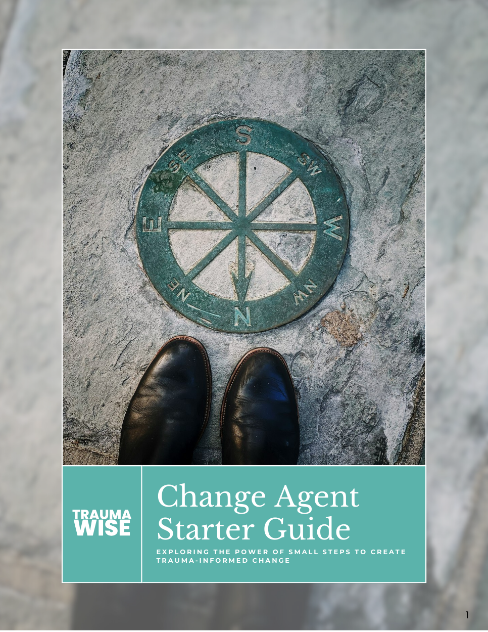 TW - Change Agent Starter Guide Cover